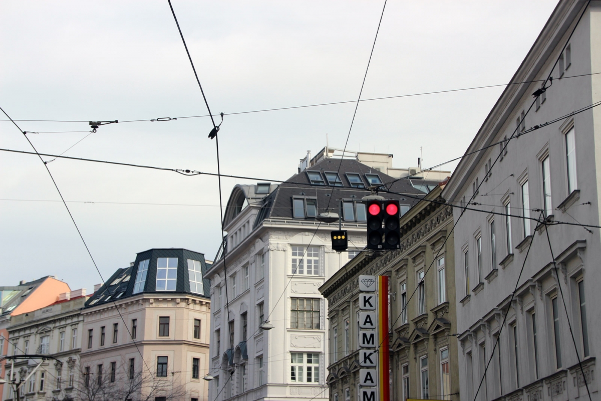 IMG 7589